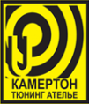 Логотип компании Камертон