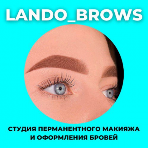 Логотип компании Lando Brows брови | обучение | перманентный макияж